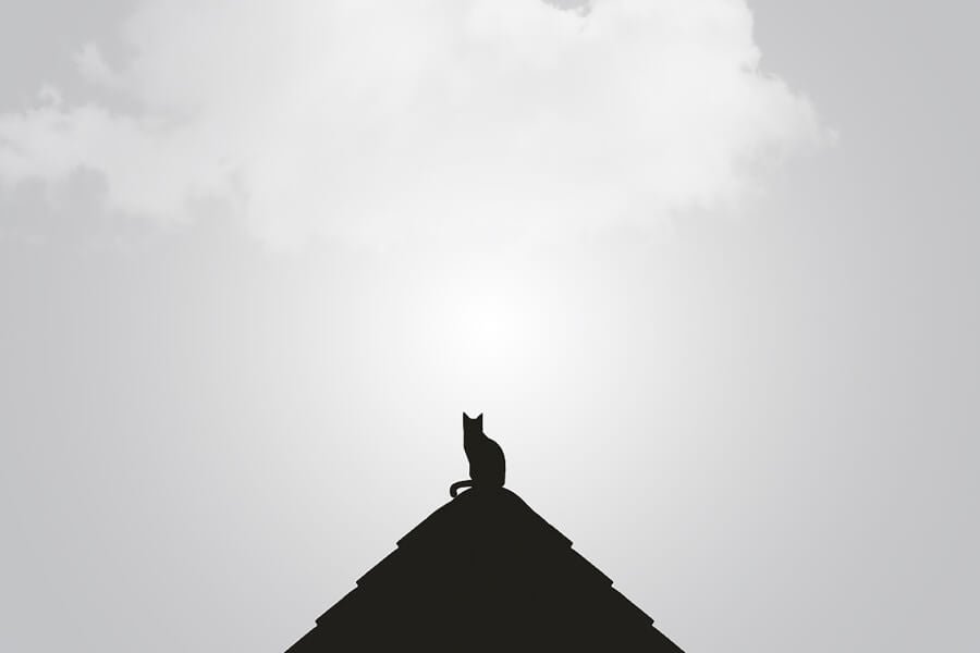 minimal blogger 11