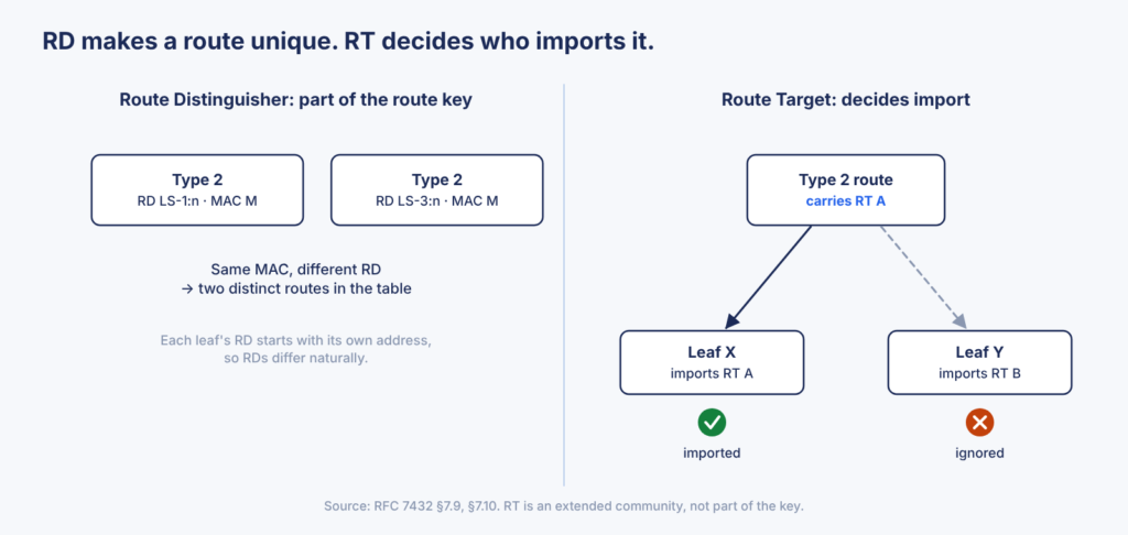 The route distinguisher keeps two routes for the same MAC distinct; the route target decides which leaf imports a route